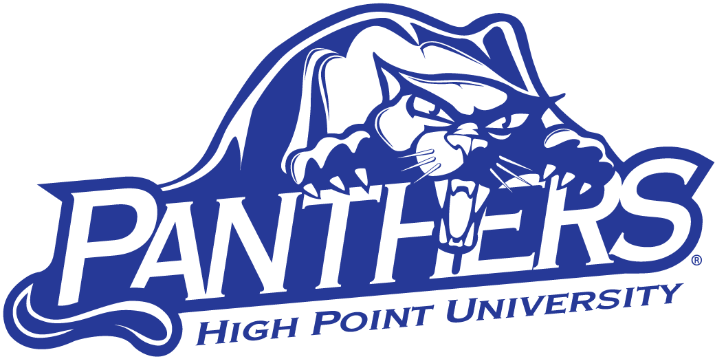 High Point Panthers 2004-Pres Alternate Logo v3 diy fabric transfer